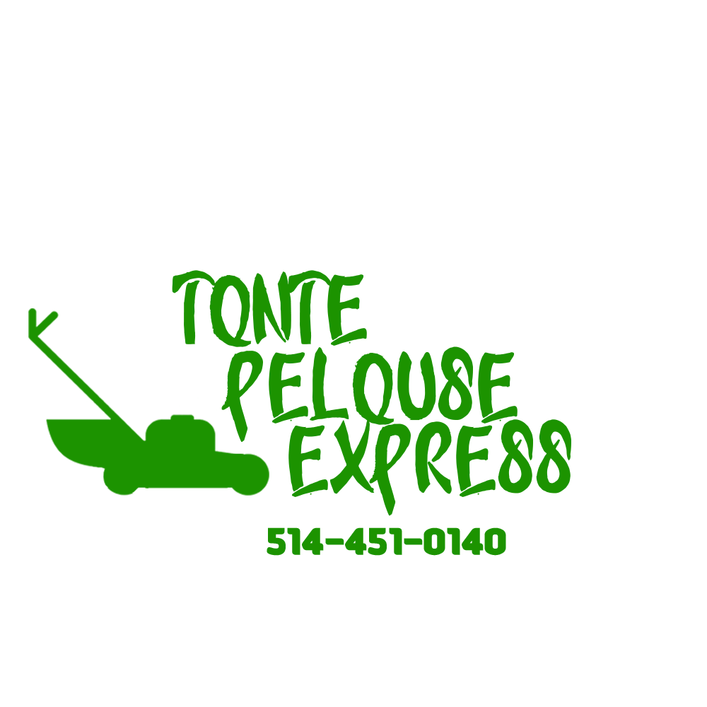 Tontepelouse-express.com